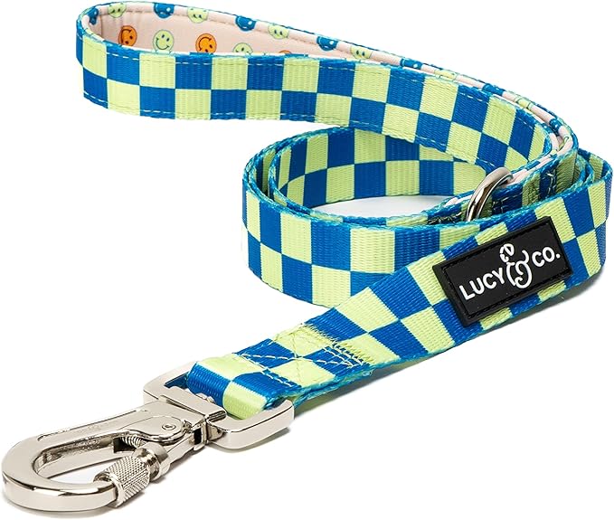 Lucy & Co. Designer Dog Leash - Pet Accessories - Thick Dog Leash - Padded Handle for Comfort - Purple with Green Floral - 5 Foot (Lime Green Blue Checker, Small)