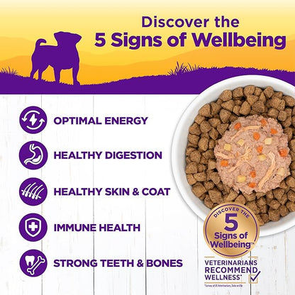 Wellness Petite Entrees Shredded Medley Small Breed Adult Wet Dog Food, Grain Free, Natural, Braised Lamb, Venison, White Sweet Potato, and Carrots, 3 oz, Pack of 12 Cups