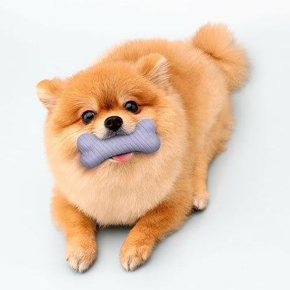Playology Dog Toys | Dual Layer Bone Durable Chew Toy Bone for Dogs (Value 2-Pack) | Small Lamb Scented Toy - Easy to Clean and Made from Non Toxic Materials