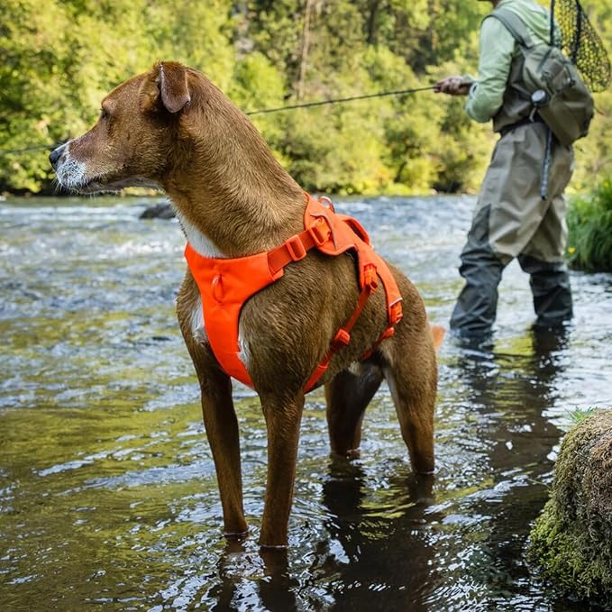 Ruffwear, Web Master, Multi-Use Support Dog Harness, Hiking and Trail Running, Service and Working, Everyday Wear, River Rock Green, Small