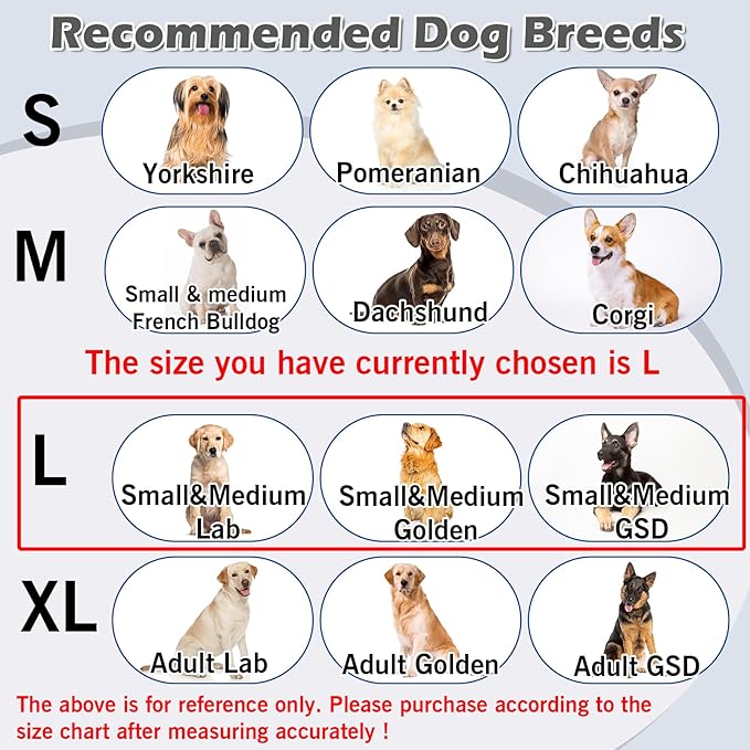 Hard & Heavy Plastic Dog Cone Collar Alternative for Lab Golden GSD (Small&Medium Sized), Adjustable Elizabethan Protective Cone for Healing, Comfortable Pet Recovery Collar Cone of Shame Anti-Lick