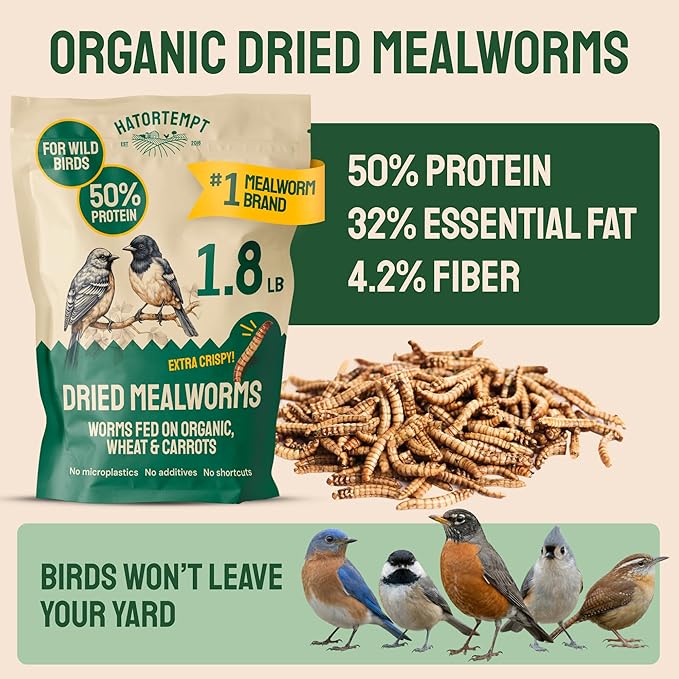 Hatortempt 1.8lb Dried Mealworms for Wild Birds - 50% Protein Meal Worms for Wild Birds - Attracts Bluebirds, Starlings, Wrens, Woodpeckers, Cardinals and Robins