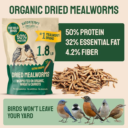 Hatortempt 1.8lb Dried Mealworms for Wild Birds - 50% Protein Meal Worms for Wild Birds - Attracts Bluebirds, Starlings, Wrens, Woodpeckers, Cardinals and Robins