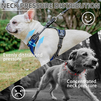 PUPTECK Dog Harness and Leash Set Small Sized, Adjustable Reflective Escape Proof Puppy Vest, No Pull Walking Harness Easy Control