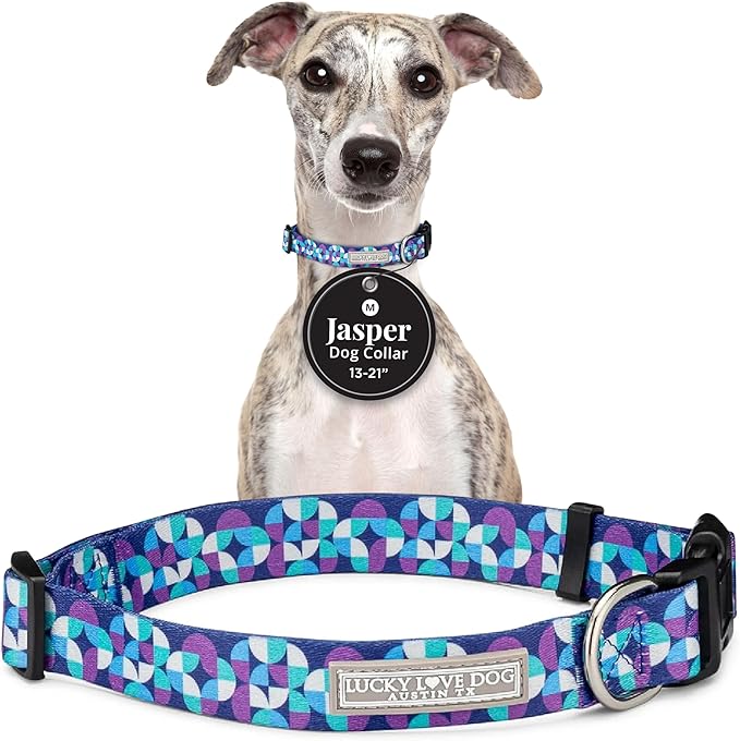 Lucky Love Dog - Adjustable Dog Collar with Easy Click Buckle for Medium Dogs, Durable, & Comfortable for Male & Female Dogs, Pet Collar for Puppies & Adult Ones - Jasper, Medium