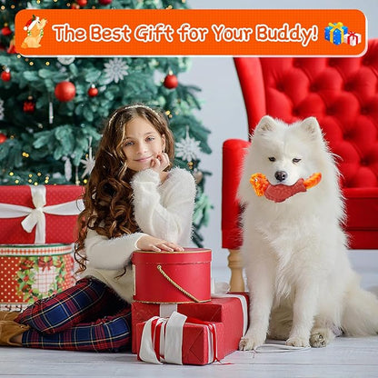 WinTour Tough Dog Toys for Aggressive Chewers, Dog Chew Toys for Large Dogs, Turkey Indestructible Squeaky Dogs Toy to Keep Them Busy