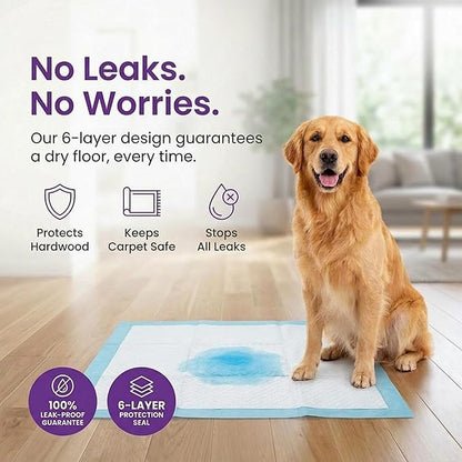 BV Puppy Pads XL 40 Count 34"x28" - Leak-Proof Pee Pads for Dogs with 6-Layer Design, Rapid Dry Sheet & Attractant - Dog Pad Extra Large with Odor Control - Perfect for Big Dogs & Indoor Use