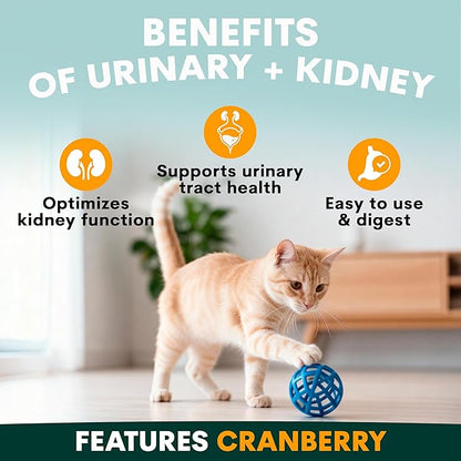 Petz Park Urinary + Kidney Support for Cats 60 Scoops, Cat Urinary Supplement, Tract Support Powder, Cat Food Topper for Wet or Dry Food, Made in Australia