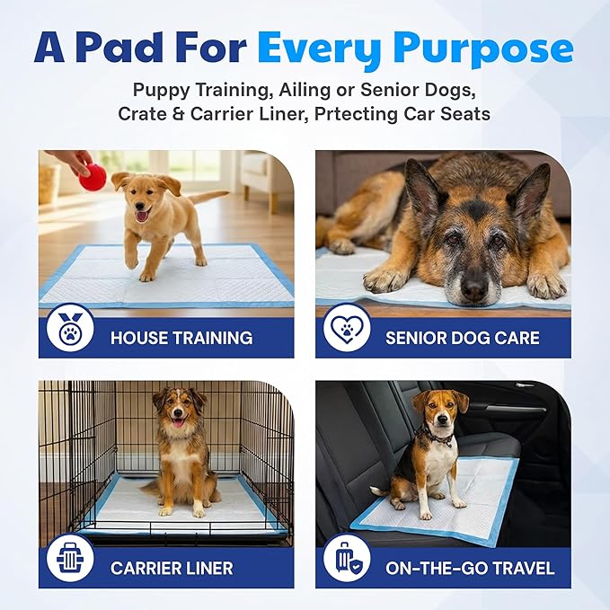 American Kennel Club Scented Puppy Training Pads with Ultra Absorbent Quick Dry Gel – 28 x 30 Pee Pads for Dogs - Fresh Scented - 50 Count, XL