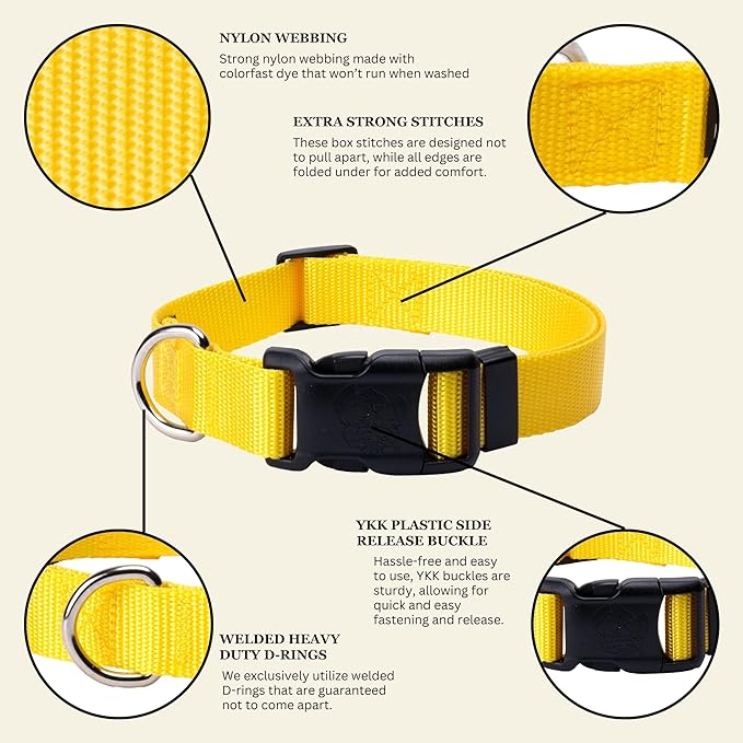 Country Brook Petz - Everyday Nylon Dog Collar for Large, Medium, and Small Dogs and Puppies - for Everyday Use in 15+ Cool Colors (Medium, 3/4 Inch Wide, Yellow)