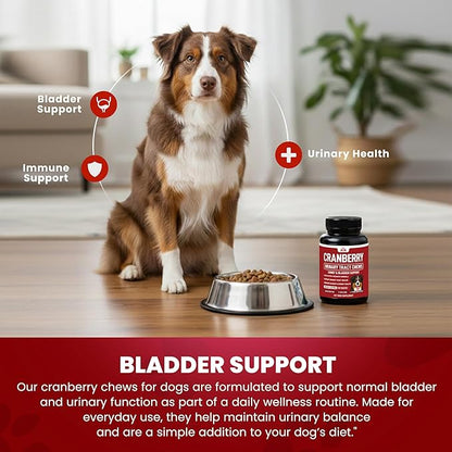 Cranberry Supplement for Dogs UTI Treatment (120 Chews) Dog Urinary Tract Support for Kidney & Bladder Health - Cranberry Relief Supplement for All Ages, Breeds & Sizes - Chicken Flavor - USA Made