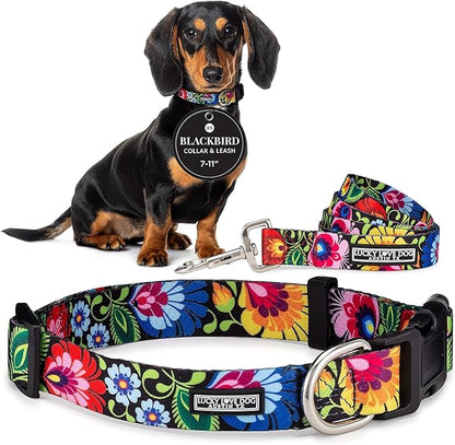 Lucky Love Dog - Easy Click Buckle Dog Collar with Leash Set Combo, Durable & Comfortable for Male & Female Dogs, Pet Collar for Small Dogs, Secure Fit - Blackbird Combo, X-Small
