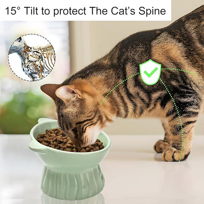 Elevated Cat Food Bowl,8 Oz Ceramic Raised and Tilted Water Bowl,Anti Vomiting and Protect Pets Spines Dishes for Fat Faced Cat, Indoor Cats,Kitten,Small Dog (Black)
