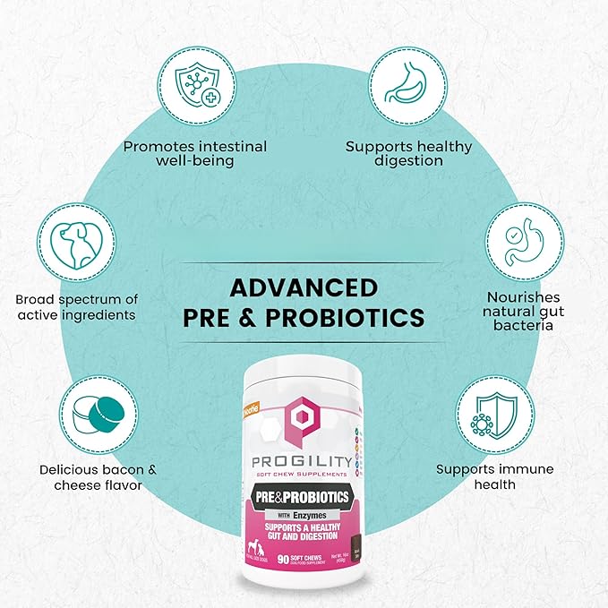 Nootie Progility Pre & Probiotic Supplement, Digestive Aid Supplement for Dogs, 90 Soft Chews per Container