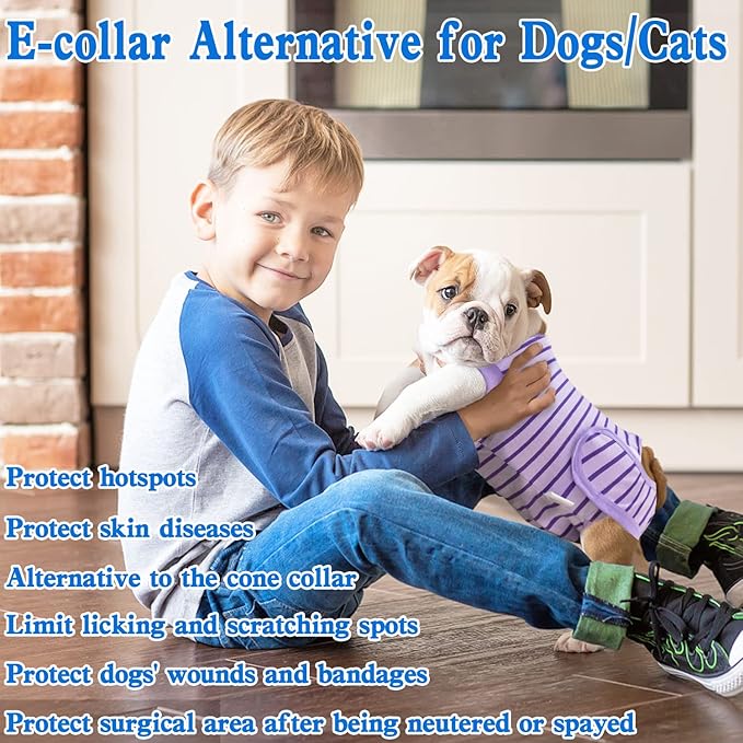 Dog Recovery Suit, Surgical Recovery Suit for Male Female Dogs Cats Spayed Onesie After Surgery, Dog Post Surgery Suit Anti Licking & Biting Surgical Shirt with Pee Hole，Purple Large