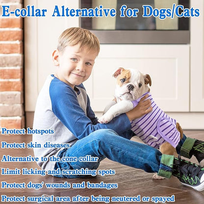 Dog Recovery Suit, Surgical Recovery Suit for Male Female Dogs Cats Spayed Onesie After Surgery, Dog Post Surgery Suit Anti Licking & Biting Surgical Shirt with Pee Hole，Purple Large