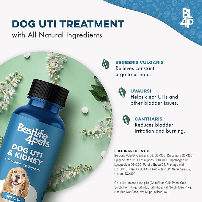 Dog UTI Treatment & Kidney Health Formula – Natural Dog Urinary Tract Supplements to Manage Urine Frequency & Leaks – Bladder Control Support for Urinary Incontinence & Renal Health – 400 Tiny Pills