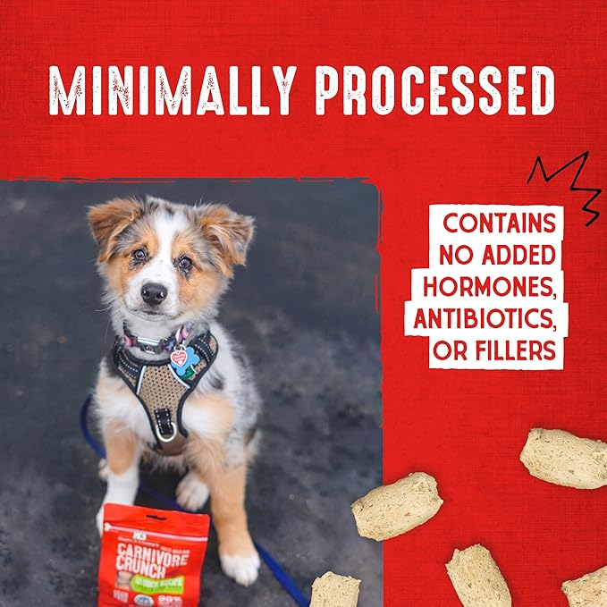 Stella & Chewy's Freeze-Dried Raw Dog Treats - Carnivore Crunch for Training - Natural Limited Ingredient, Grain-Free - Perfect for Picky Eaters - Duck Recipe - 3.25 oz Bag