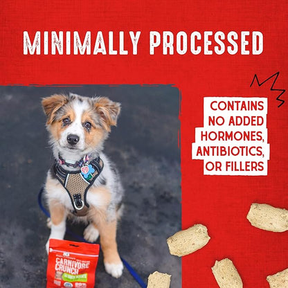 Stella & Chewy's Freeze-Dried Raw Dog Treats - Carnivore Crunch for Training - Natural Limited Ingredient, Grain-Free - Perfect for Picky Eaters - Duck Recipe - 3.25 oz Bag