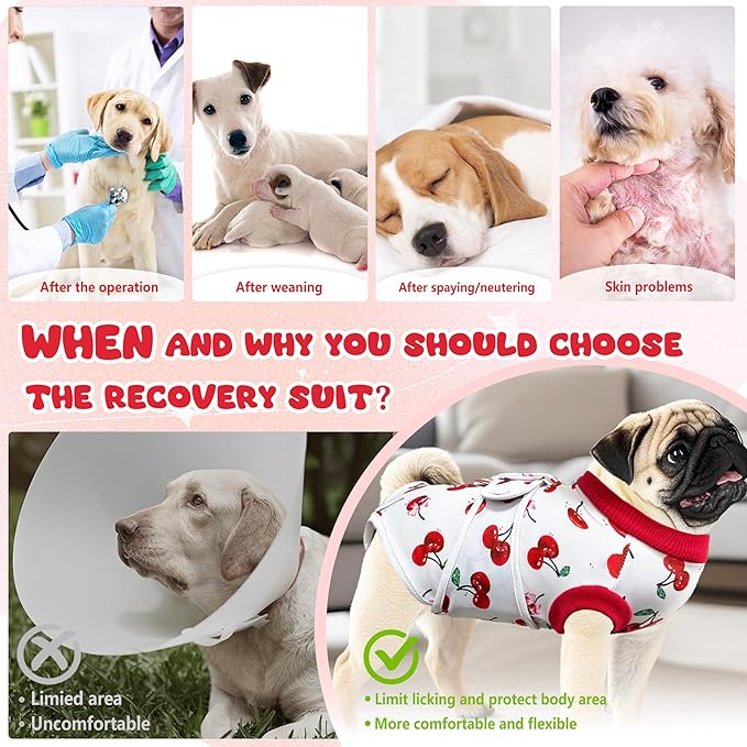 Dog Surgery Recovery Suit, Abdominal Surgical Suit for Male Female Dog Post Spay Neuter, Breathable Pet Onesie E-Collar & Cone Alternative, Surgery Shirt to Prevent Licking, X-Large
