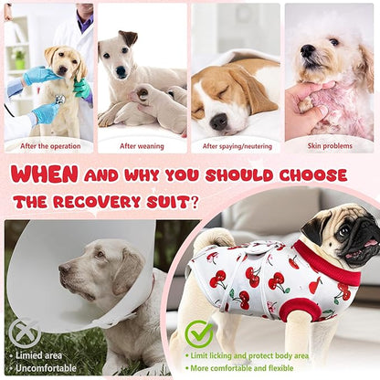 Dog Surgery Recovery Suit, Abdominal Surgical Suit for Male Female Dog Post Spay Neuter, Breathable Pet Onesie E-Collar & Cone Alternative, Surgery Shirt to Prevent Licking, X-Large