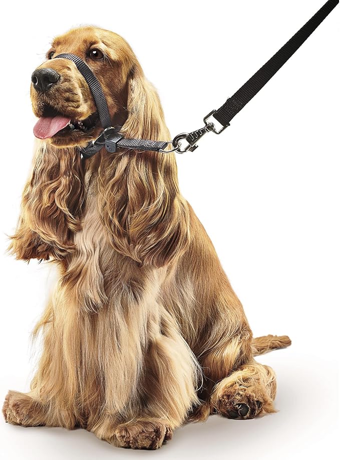 Beaphar - Gentle Leader - Head Collar for Medium Dogs - Stops Pulling On The Lead - Training Aid with Immediate Effect- Endorsed by Behaviourists - Black x 1
