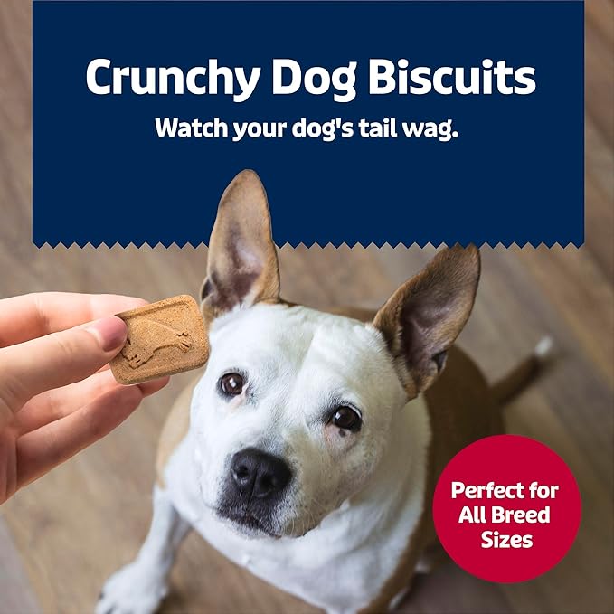 Blue Buffalo Health Bars Crunchy Dog Biscuits, Oven-Baked With Natural Ingredients, Beef, 16-oz Bag