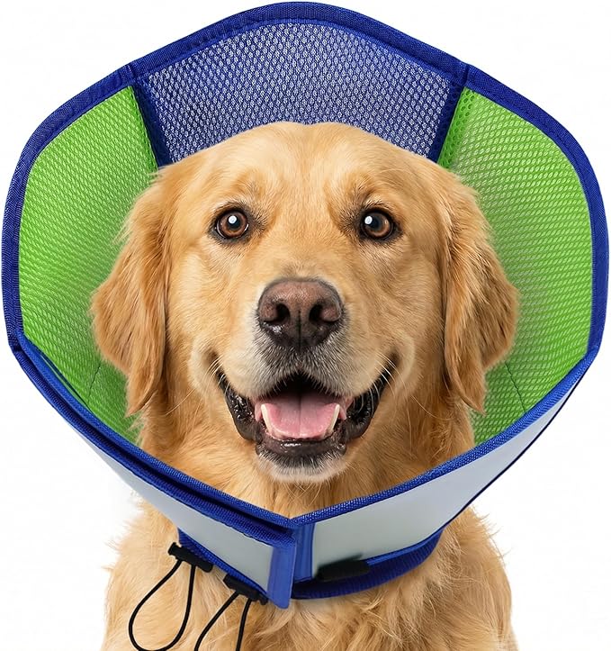 AOFITEE Dog Cone - Soft Cones for Dogs After Surgery, Comfy Cones for Large Dogs to Stop Licking, Adjustable Soft Dog Cone Collar, Elizabethan Pet E-Collar for Wound Healing, Bluegreen Large