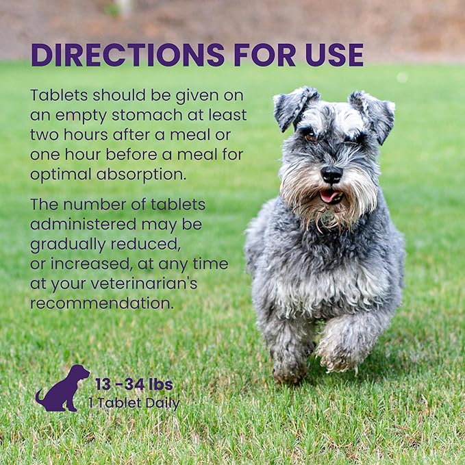 Nutramax Denamarin for Medium Dogs, Liver Health Supplement with S-adenosylmethionine (SAMe) plus Silybin, Liver Support for Dogs, Coated Tablets, 30 Count