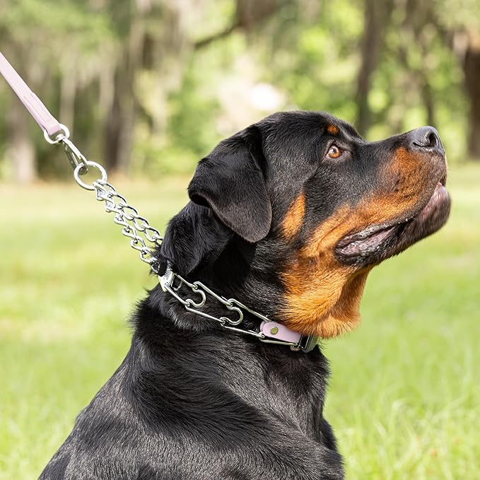Herm Sprenger Chrome Plated Steel Dog Collar with Quick Release ClicLock Buckle O-Ring Biothane Insert Training Collar Made in Germany (Pastel Purple, 25in x 4.0mm(Neck Size up to21-22in))
