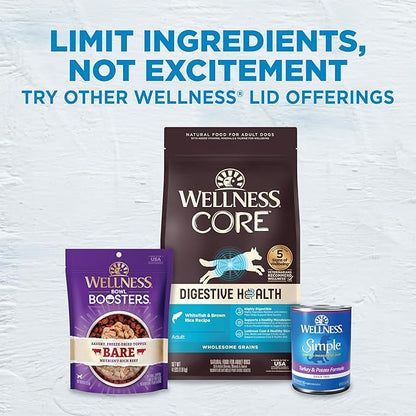 Wellness Simple Limited Ingredient Diet Adult Dry Dog Food, Wholesome Grain Kibble, Sensitive Stomach, Skin & Coat Support, Natural, Chicken Free, Lamb and Oatmeal Recipe, 26 lb Bag