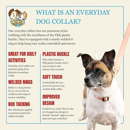 Country Brook Petz - Everyday Nylon Dog Collar for Large, Medium, and Small Dogs and Puppies - for Everyday Use in 10+ Warm Colors (Extra Large, 1 Inch Wide, Coral)