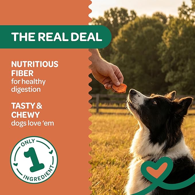 Wholesome Pride Sweet Potato Chews Dog Treats – All-Natural, Single-Ingredient, Grain-Free, 16 oz