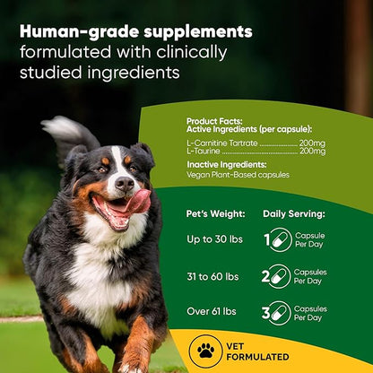 Rooted Owl Cardio Support - L-Taurine and L-Carnitine Supplement for Dogs - Cardiovascular and Heart Health Supplements for Dogs - 60/ct