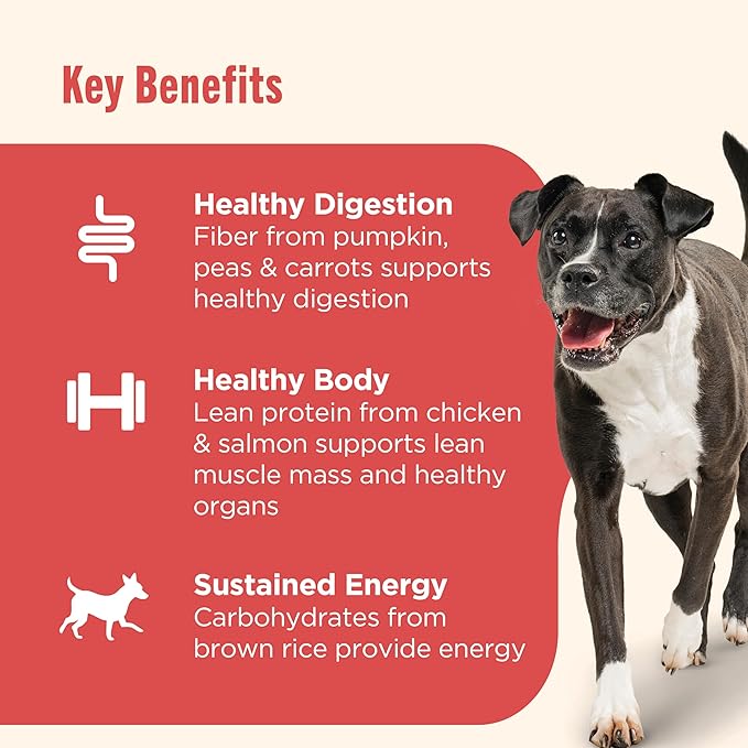 Nutrish Gentle Digestion Premium Paté Wet Dog Food,Real Chicken,Pumpkin & Salmon Recipe,13 oz. Can,(Rachael Ray),(Pack of 24)