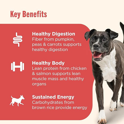 Nutrish Gentle Digestion Premium Paté Wet Dog Food,Real Chicken,Pumpkin & Salmon Recipe,13 oz. Can,(Rachael Ray),(Pack of 24)