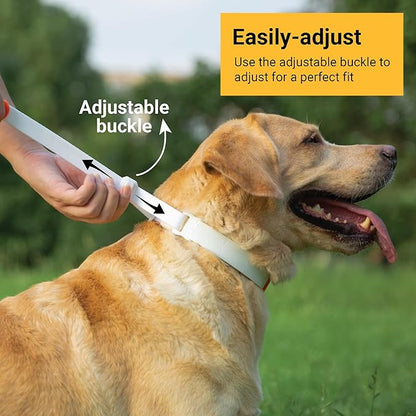 SVD.PET Dog Prong Collar for No-Pull Training, Quick-Release Buckle Adjustable Pinch Collar for Large Dogs (White, Large Size)