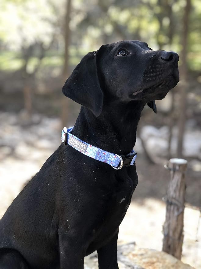 Lucky Love Dog Dog Collar, Leash Set Small, Premium, Cute and Adjustable Collars for Male and Female Dogs, Winterblue Combo, Small