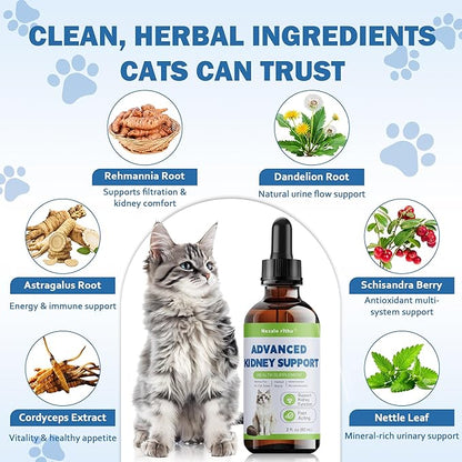 Cat Kidney Support, Kidney Support Supplement for Cats – Vet-Formulated Herbal Liquid with Rehmannia & Cordyceps to Help Support Healthy Kidney Function, Hydration, Appetite & Energy Level
