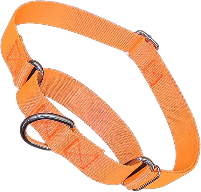 Choke Collar for Dogs, Escape Proof Dog Martingale Collar No Pull Cinch Dog Training Collars Adjustable for Small Medium Large Breed Pet Dogs, Orange L