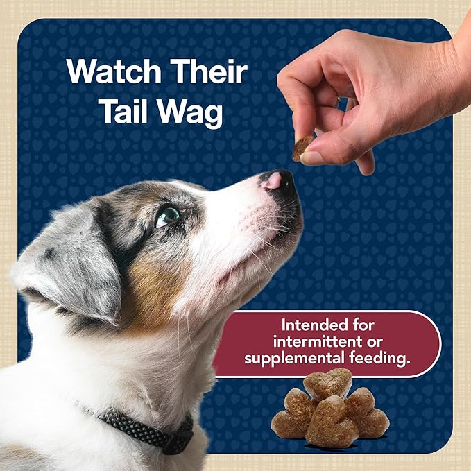 Blue Buffalo Bits Soft Dog Treats for Training,Made with Natural Ingredients & Enhanced with DHA,Beef Recipe,4-oz Bag,(Pack of 2)