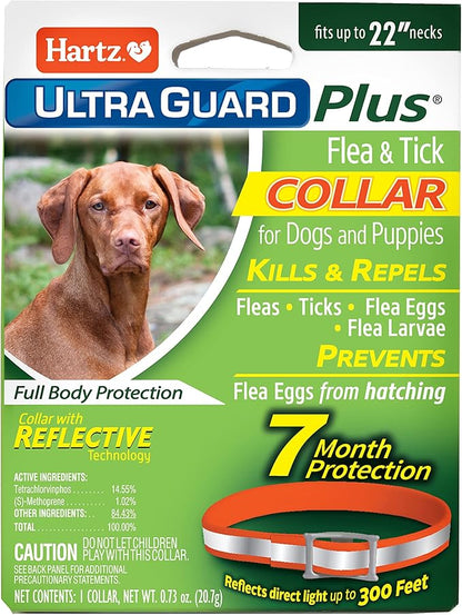 Hartz UltraGuard Plus Flea & Tick Collar for Dogs and Puppies, 7 Month Flea and Tick Prevention and Protection Per Collar, Reflective Orange, up to 22 Inch Neck