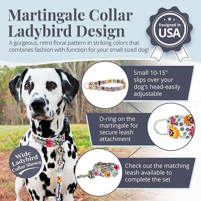 Lucky Love Dog Martingale Dog Collar - Adjustable, No-Slip, Durable, & Soft Webbing Collar for Male and Female Dogs Ideal for Training & Walking - Ladybird, Small