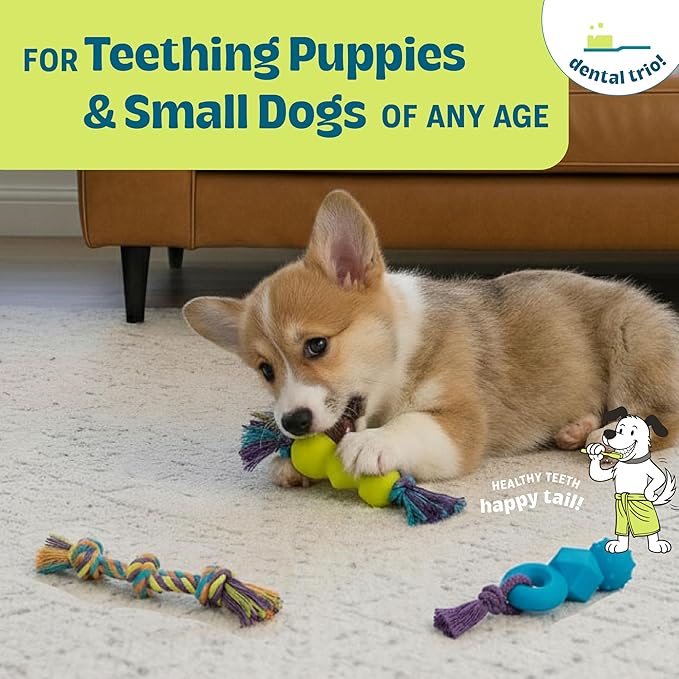 Mini Dentachew Pack Dental Chew Toy, Multi-Textured, Fetch & Tug Rope, Puppies & Small Dogs, 7", 3-Pack