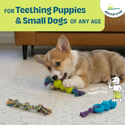Mini Dentachew Pack Dental Chew Toy, Multi-Textured, Fetch & Tug Rope, Puppies & Small Dogs, 7", 3-Pack