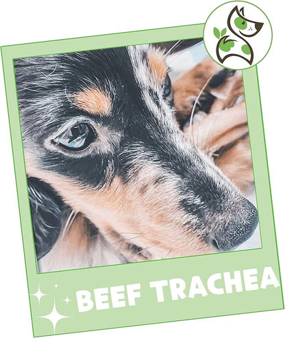 Nature Gnaws Beef Trachea Chews for Dogs 3" (12 Count) - Long Lasting Natural Crunchy Dog Chew Bones - Rawhide Free (Pack of 2)