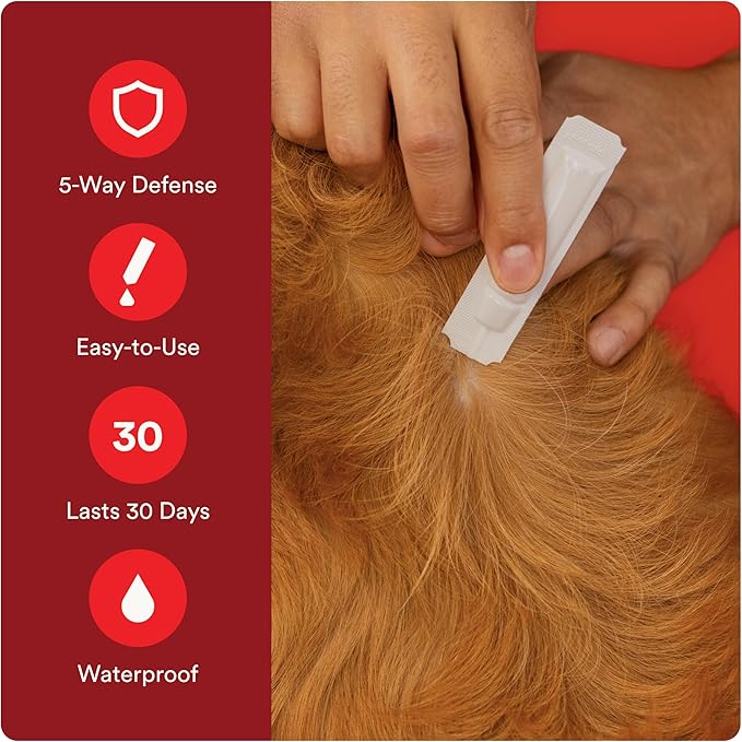 Advecta Ultra Flea and Tick Prevention for Dogs - Extra Large Dog Flea and Tick Treatment & Control - Mosquito Repellent - Fast Acting Waterproof Topical Drops, 2 Month Supply