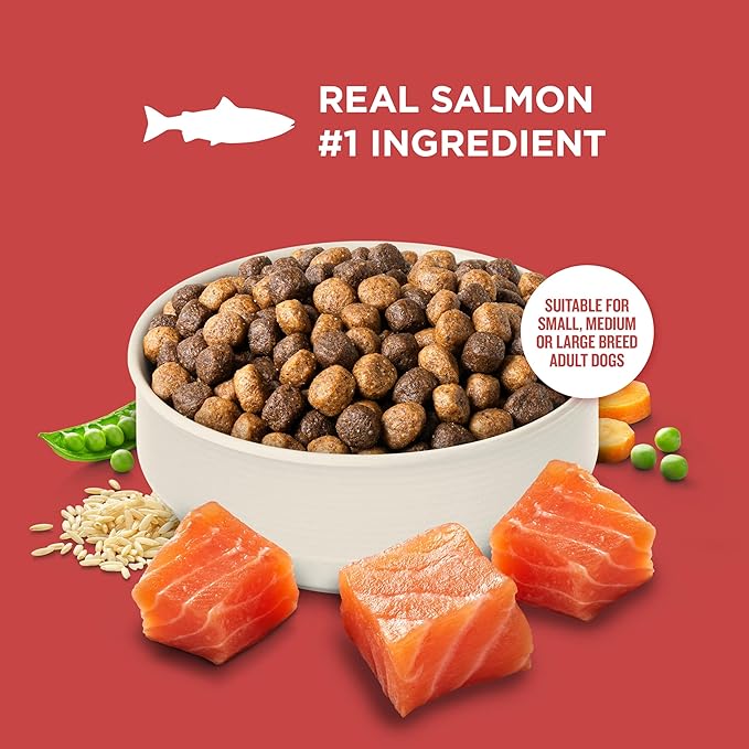Nutrish Rachael Ray Adult Dry Dog Food Real Salmon, Veggies & Brown Rice Recipe, 4.5 lb. Bag
