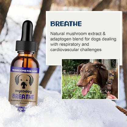 MycoDog Breathe Dog Allergy Relief Drops 2 fl. oz.: Mushroom Extracts & Ashwagandha Tincture | Respiratory Support Itch Relief for Dogs | Chaga & Reishi Mushroom Blend