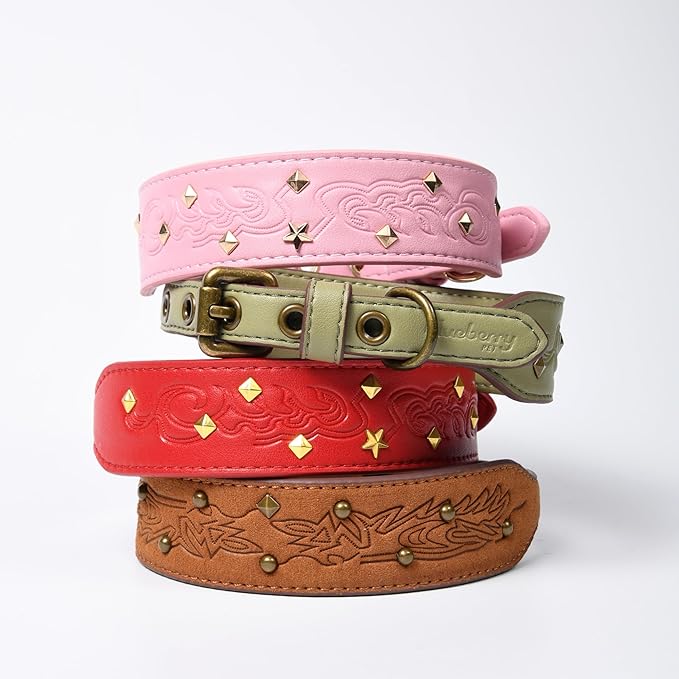 Blueberry Pet Premium Embossed Red Glam Silver-Powered Freshness Microfiber Leather Dog Collar with Gold Studs